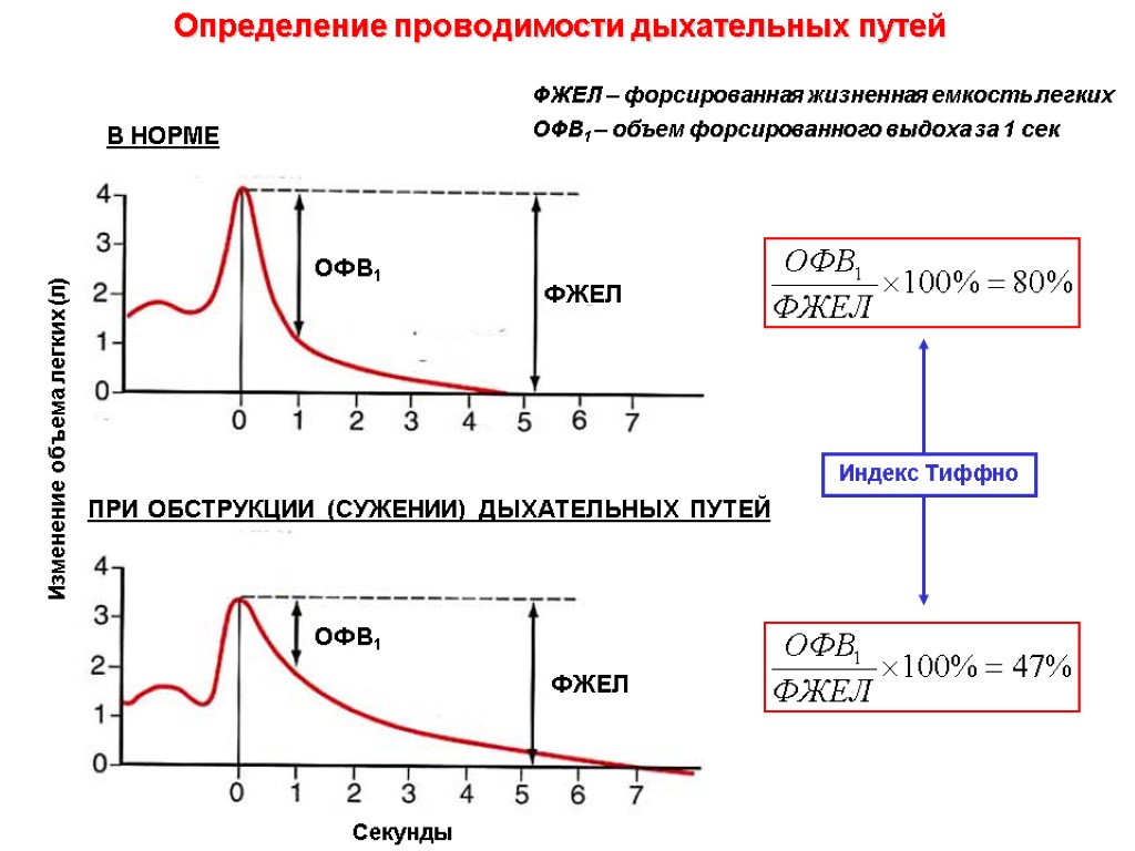 Определение проводимости дыхательных путей В НОРМЕ ПРИ ОБСТРУКЦИИ (СУЖЕНИИ) ДЫХАТЕЛЬНЫХ ПУТЕЙ Изменение объема легких